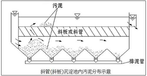 斜管沉淀池内污泥分布图